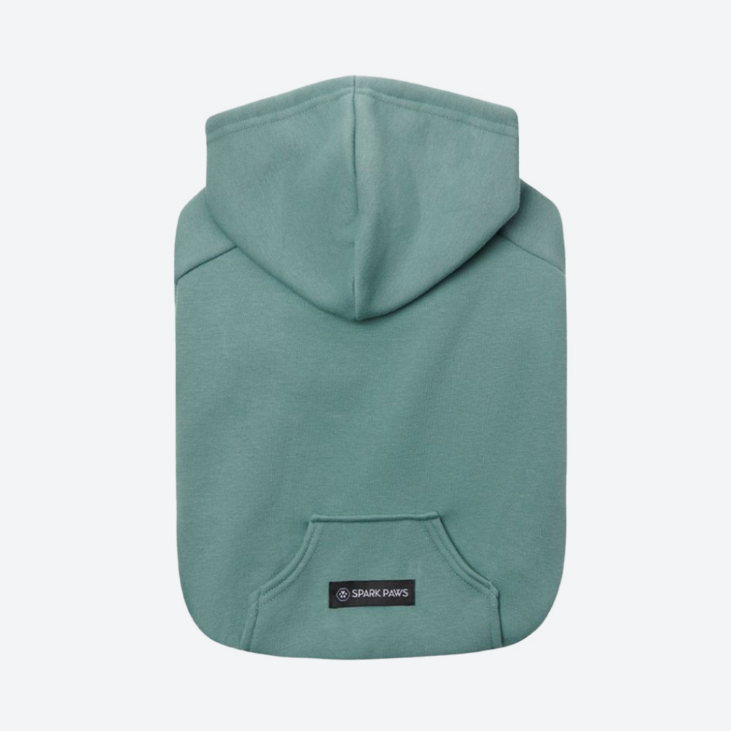 Essential Dog Hoodie - Teal