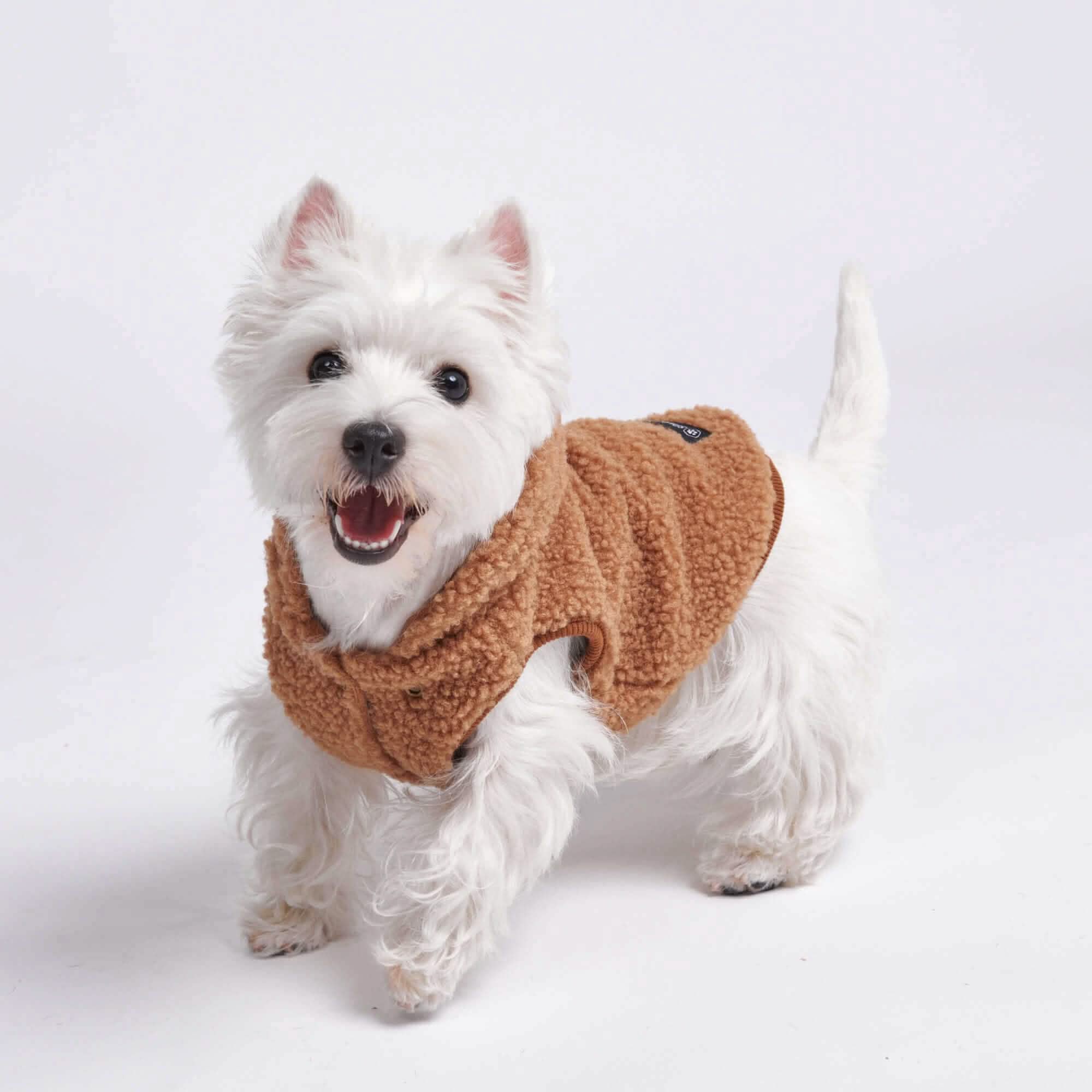 Teddy Sherpa Dog Jackets