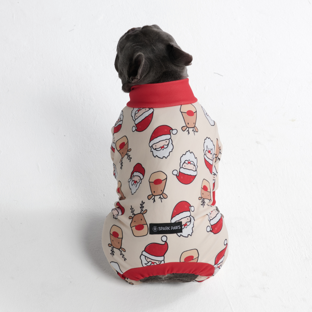 Dog Christmas Pajamas