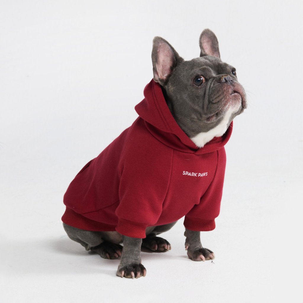 Essential Dog Hoodies