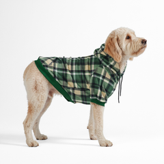 Green Plaid Dog Hoodie