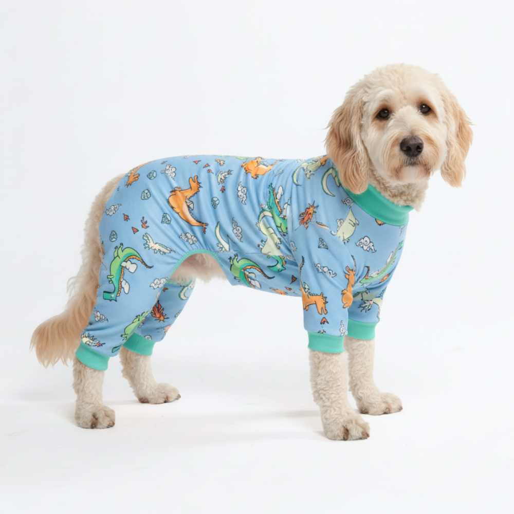 Dog Pajama Prints