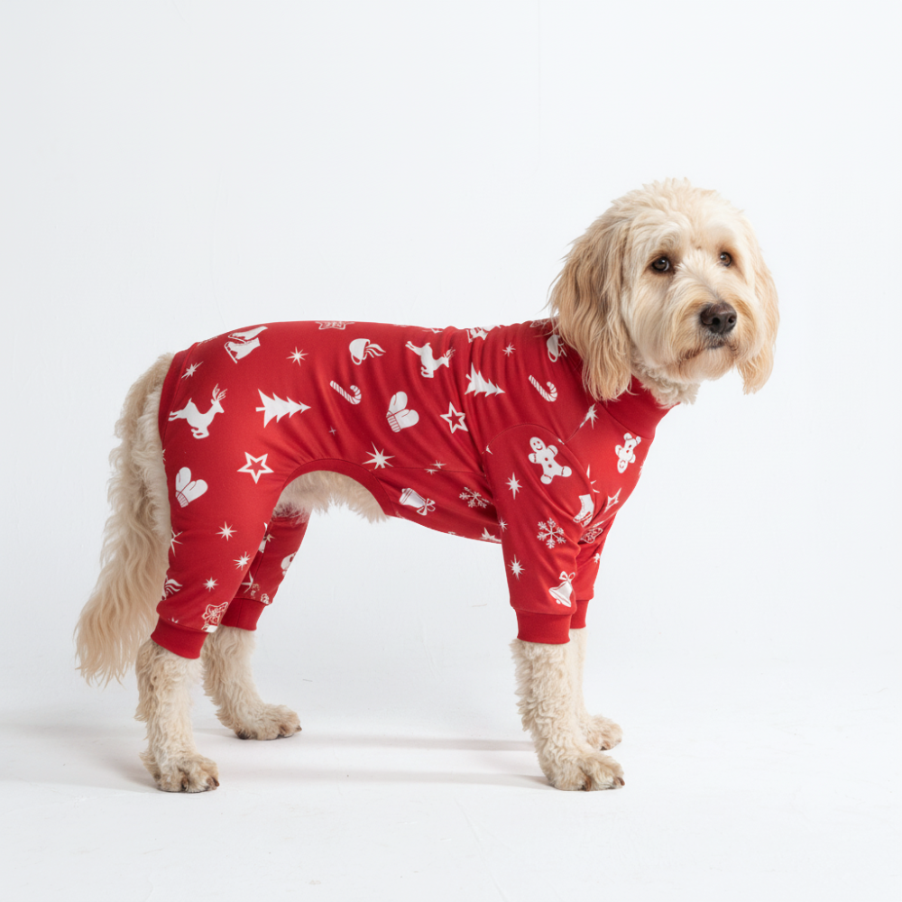 Dog Christmas Pajamas