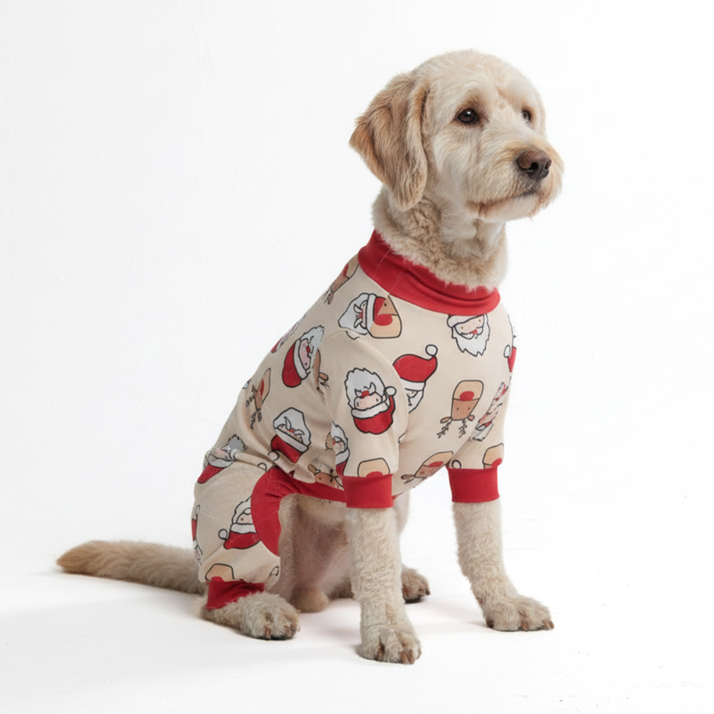 Dog Christmas Pajama - Santa and Rudolph