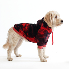 Velvet Dog Hoodie - Red & Black