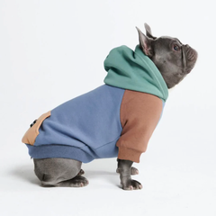 Alpine Dog Hoodie