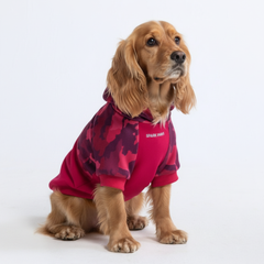 Fuchsia Camo Dog Hoodie