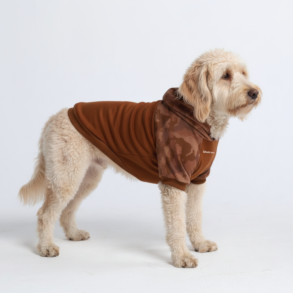 Desert Camo Dog Hoodie