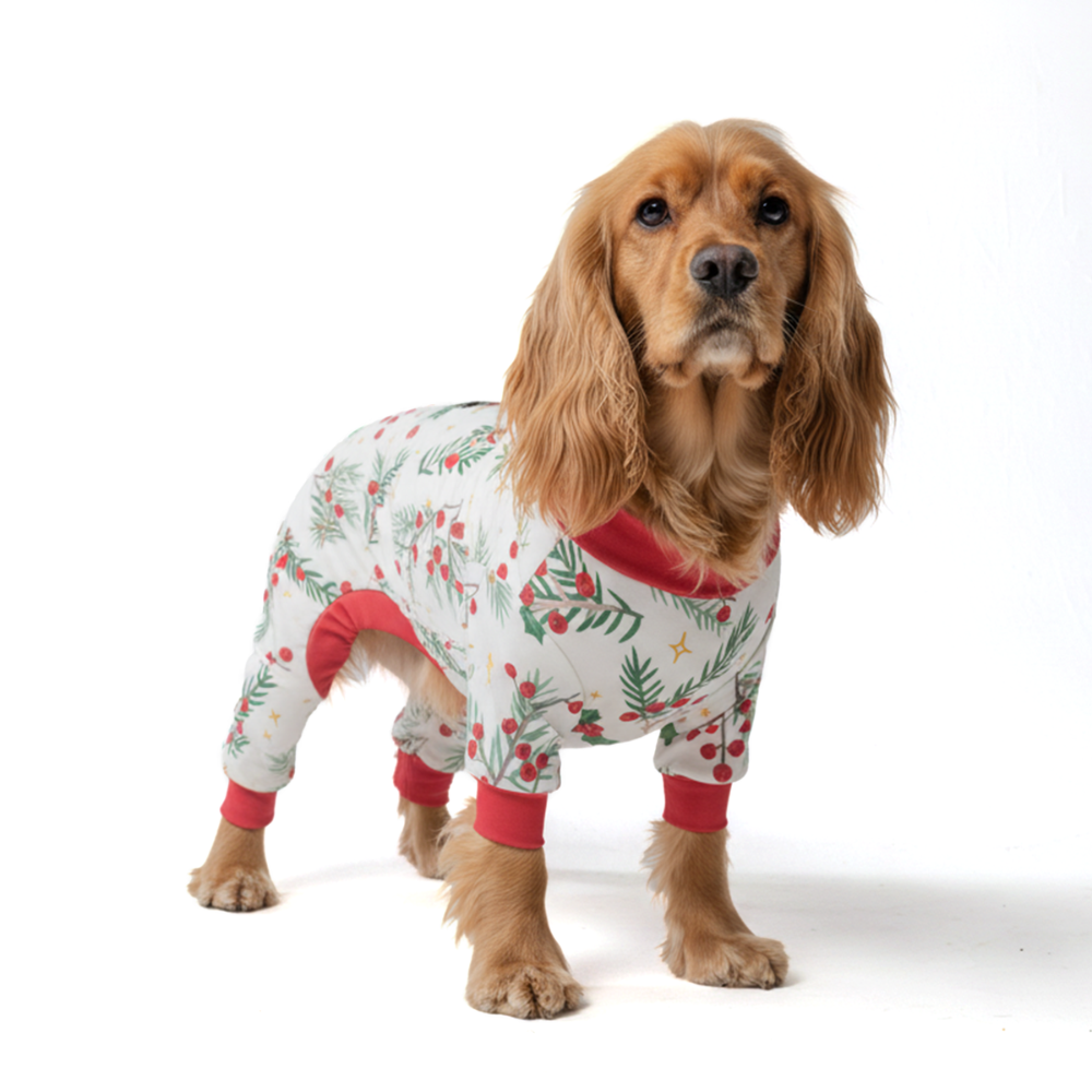 Dog Christmas Pajamas