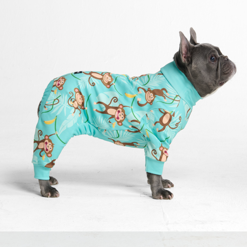 Dog Pajama Prints