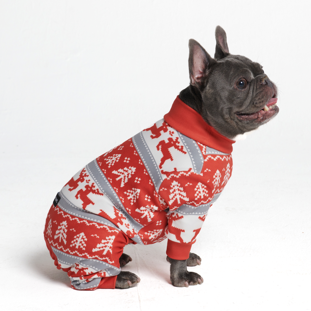 Dog Christmas Pajama - Winter Wonderland