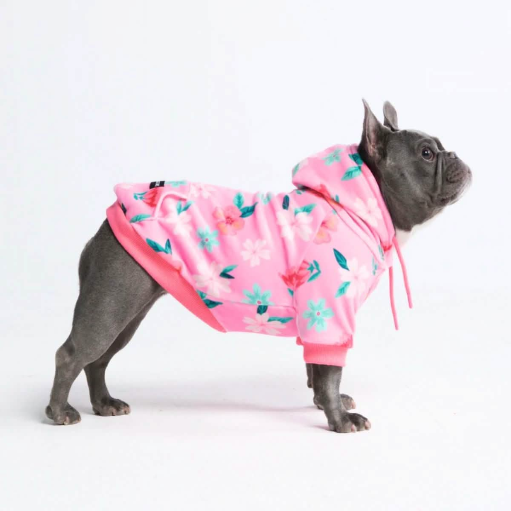 Blossom Dog Hoodie - Pink