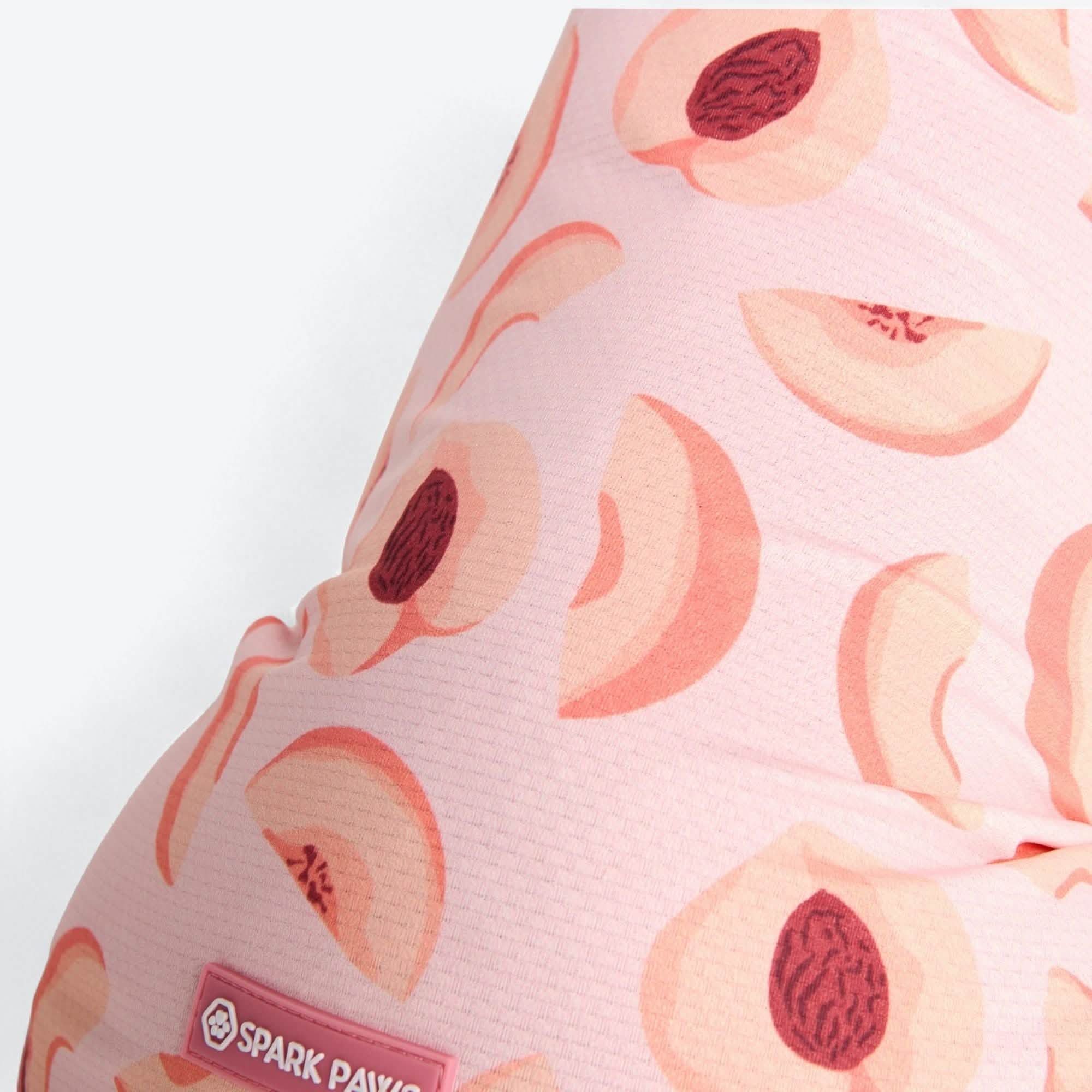 Sunblock Dog T-Shirt - Fruit Print