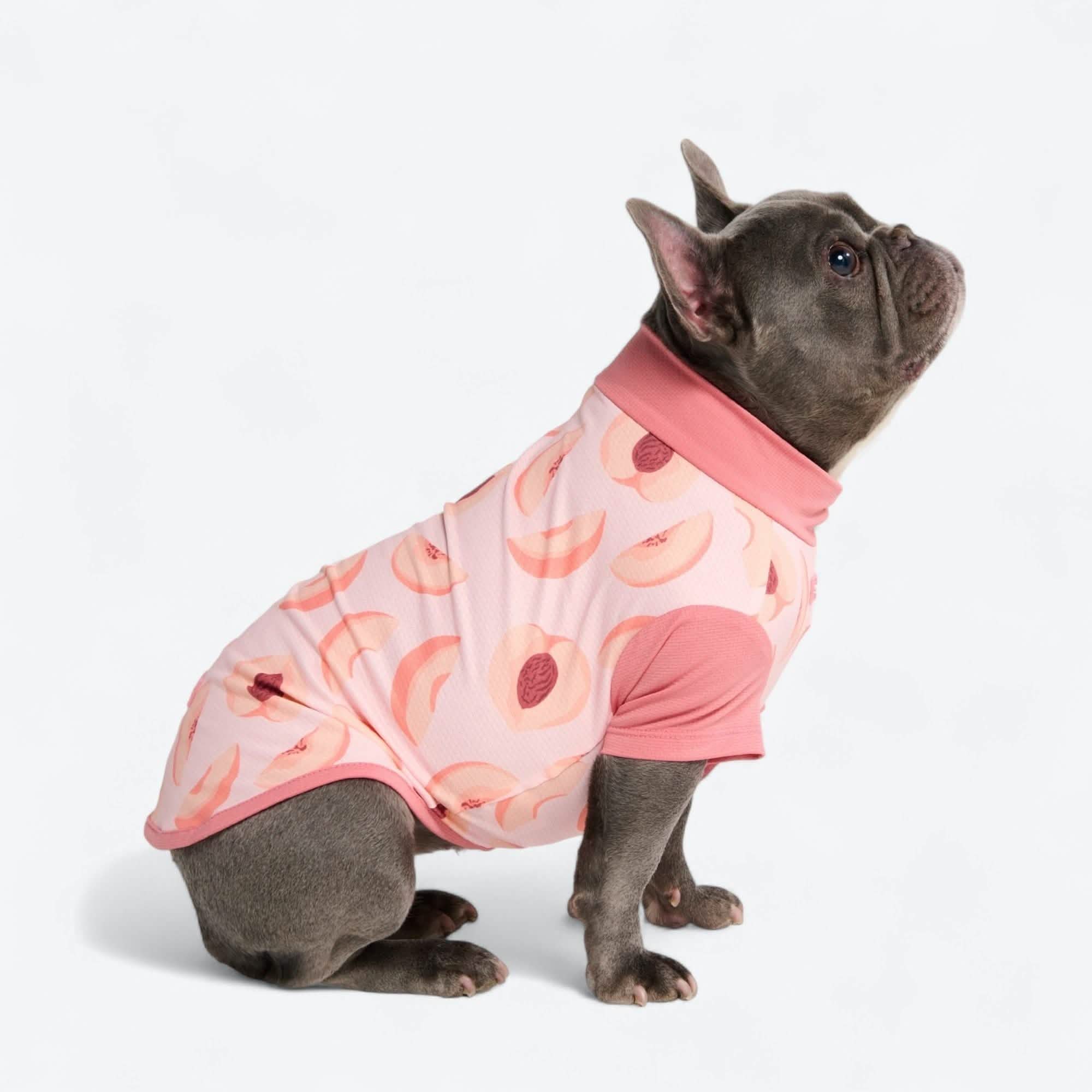 Sunblock Dog T-Shirt - Fruit Print