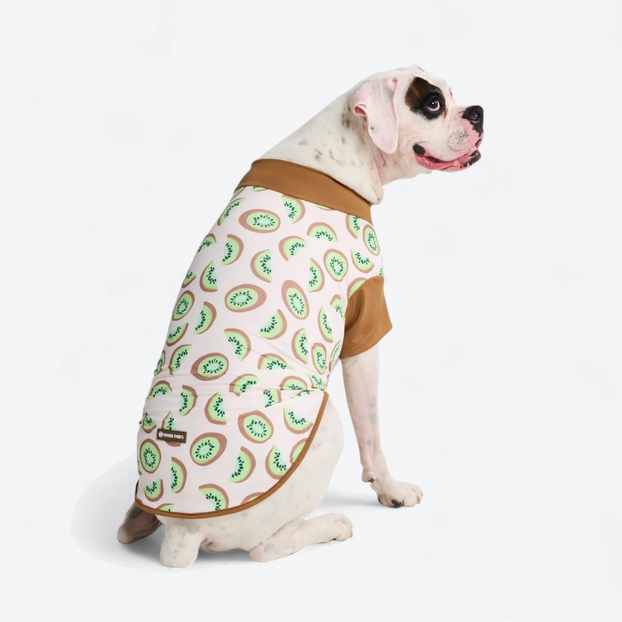 Sunblock Dog T-Shirt - Fruit Print