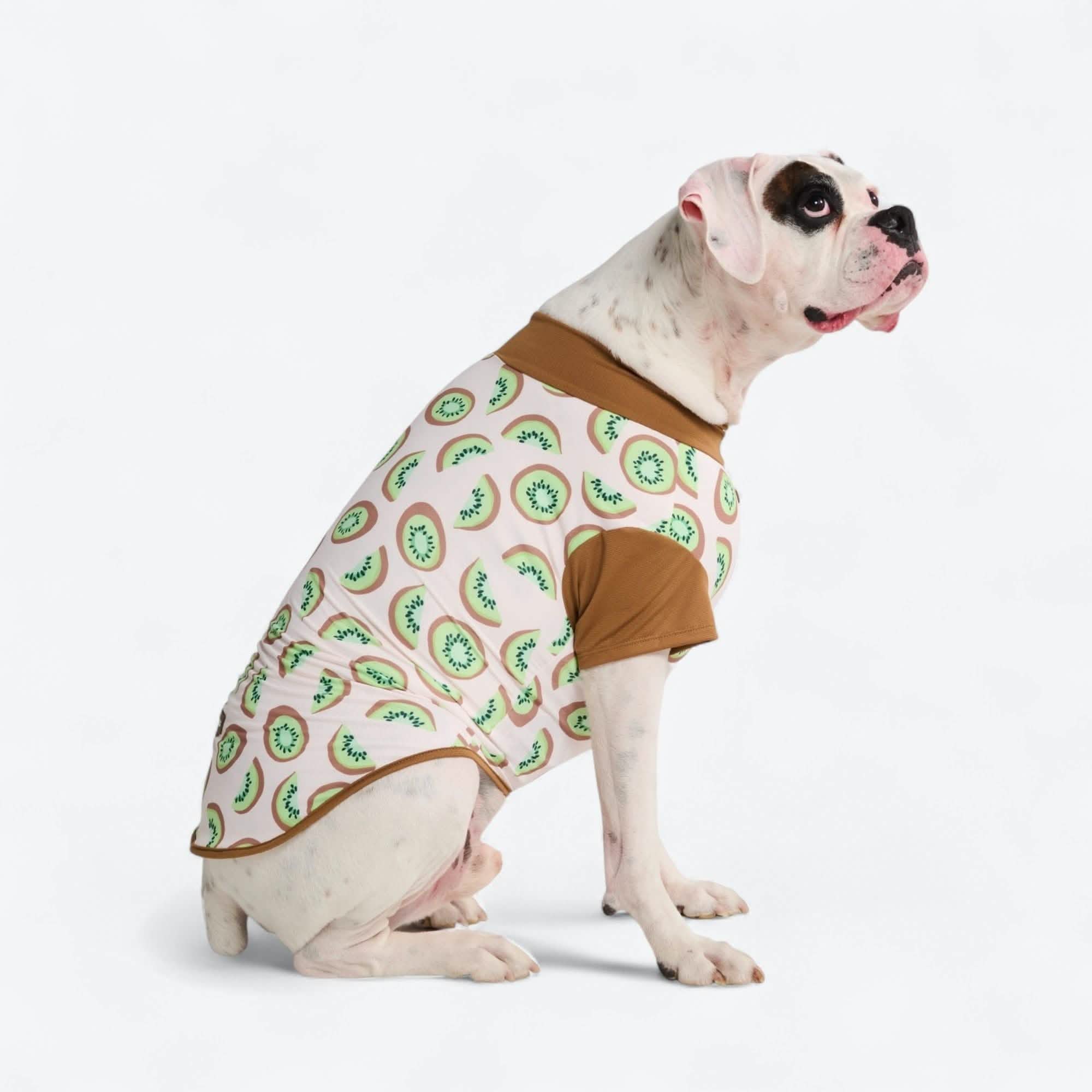 Sunblock Dog T-Shirt - Fruit Print