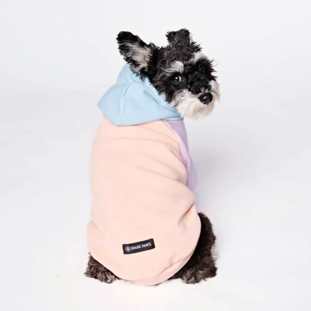Cotton Candy Dog Hoodie