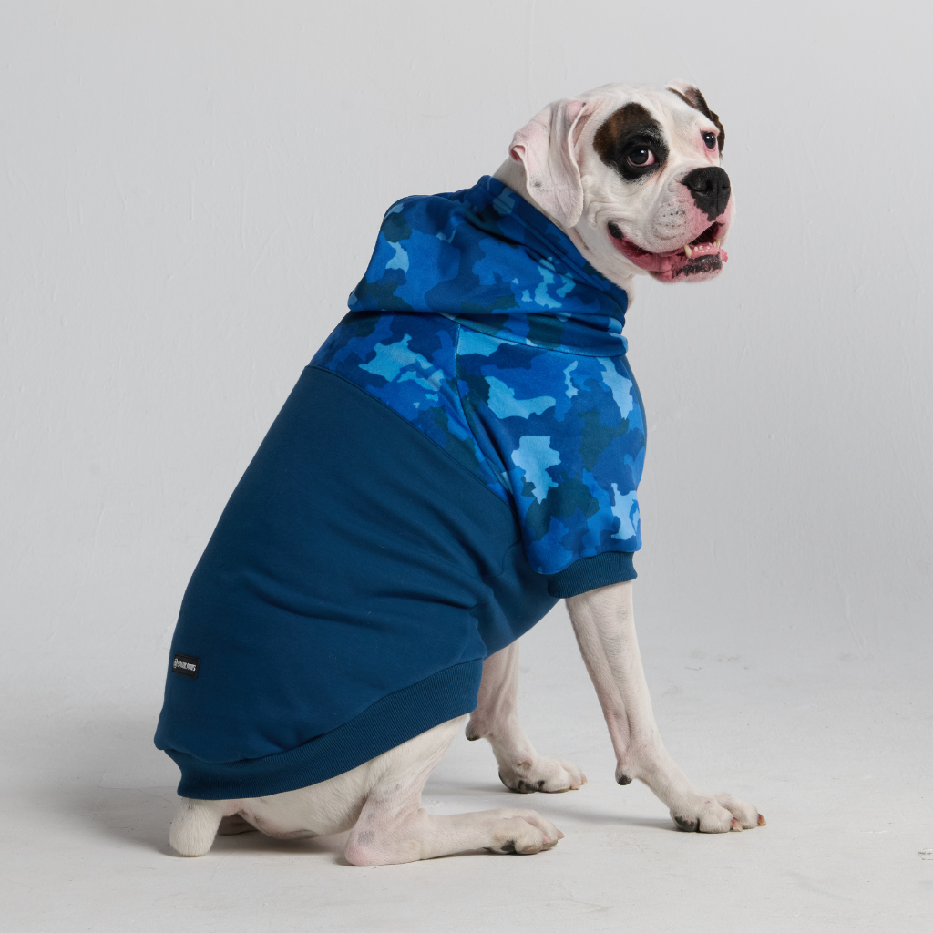 Blue Camo Dog Hoodie