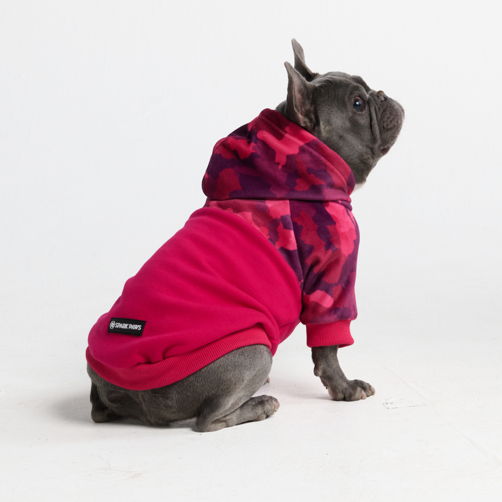 Fuchsia Camo Dog Hoodie
