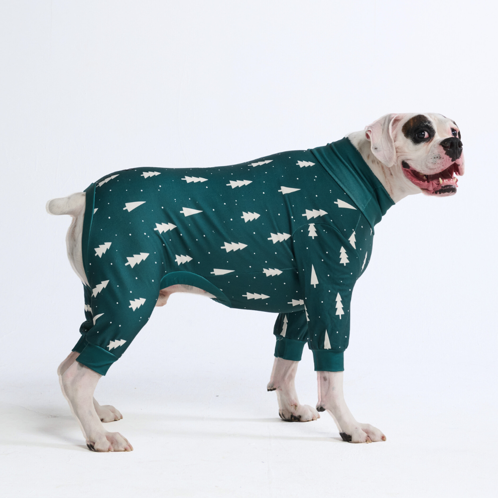Dog Christmas Pajamas
