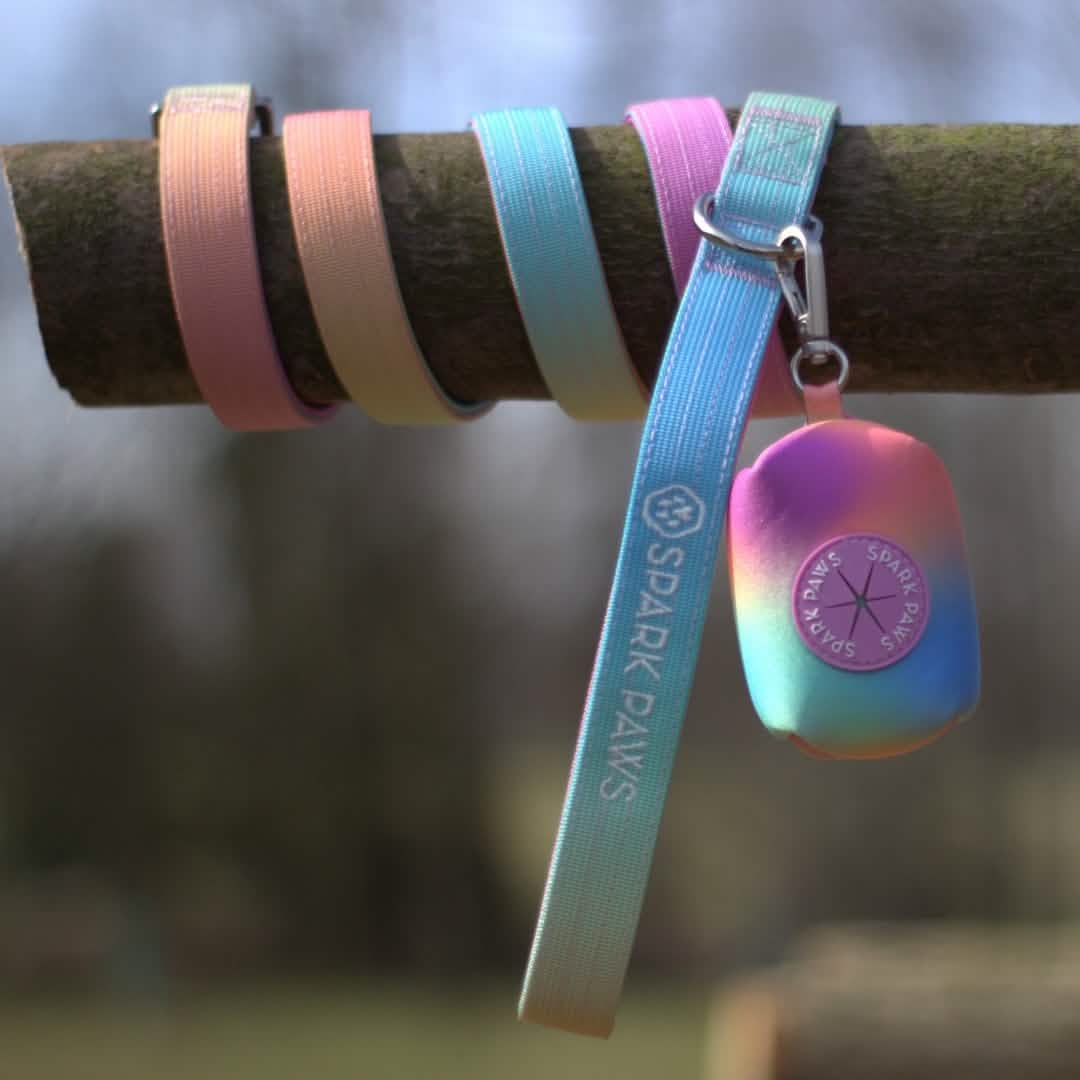 Leash and Poop Bag Holder Set