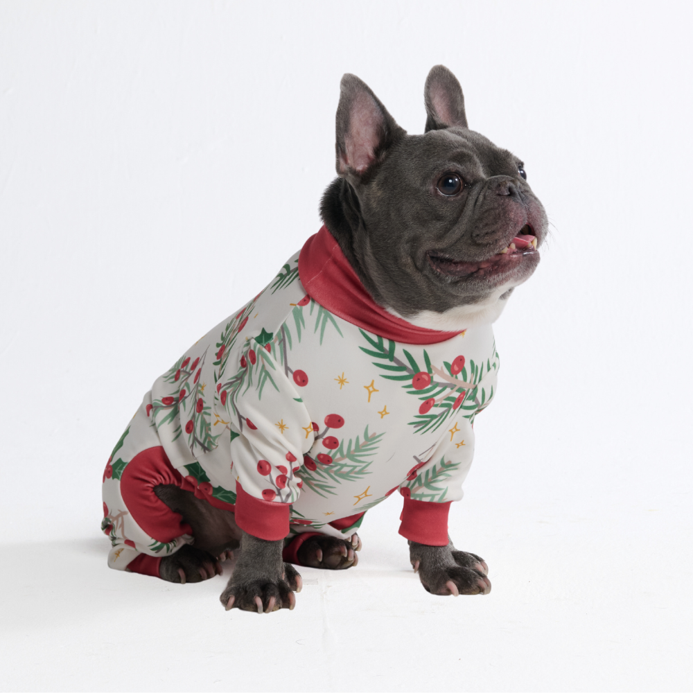 Dog Christmas Pajama - Mistletoe