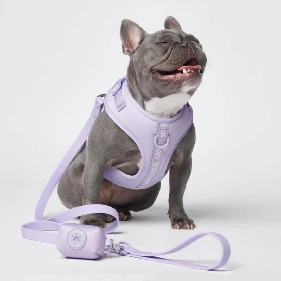 Leash and Poop Bag Holder Set