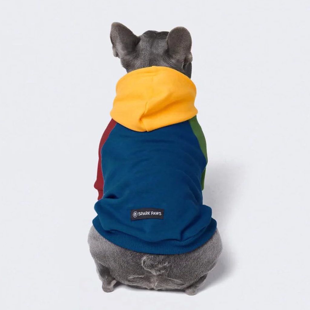 Primary Color Block Dog Hoodie