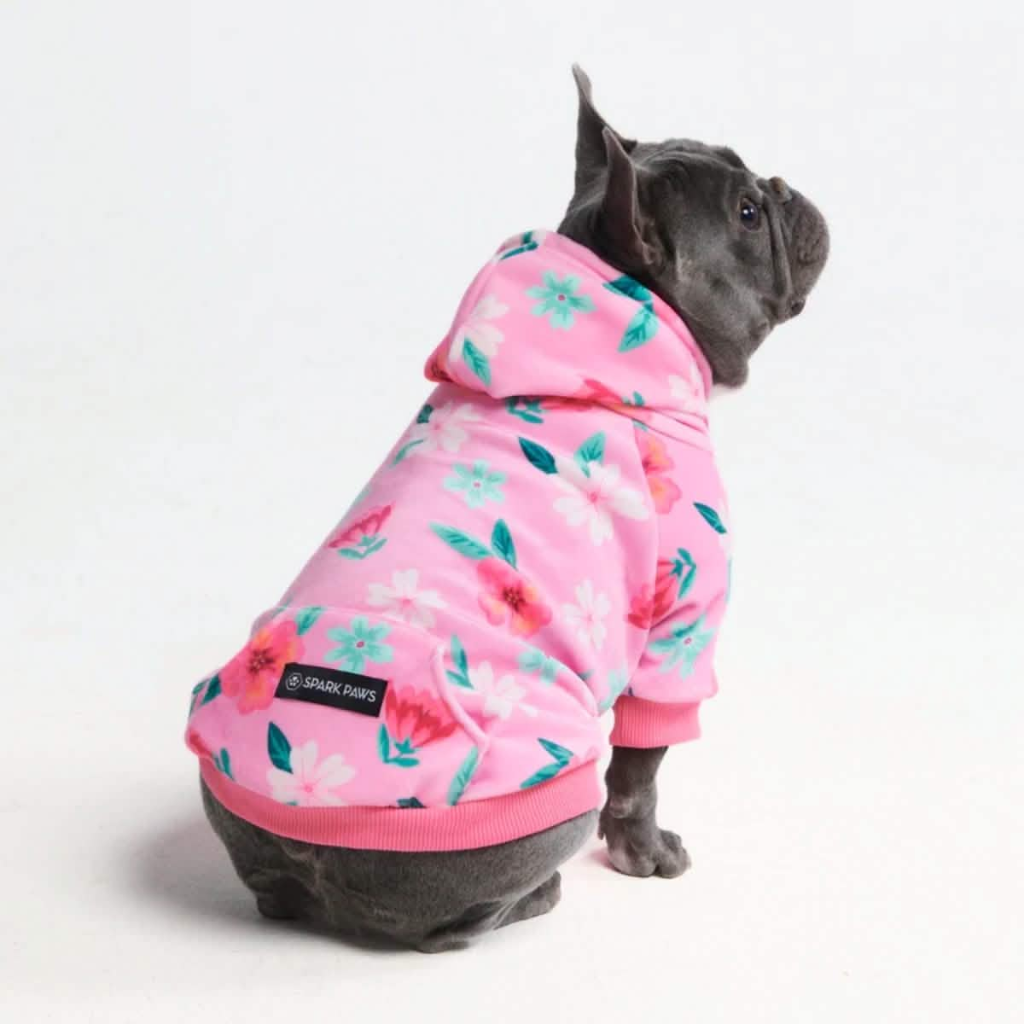 Blossom Dog Hoodie - Pink