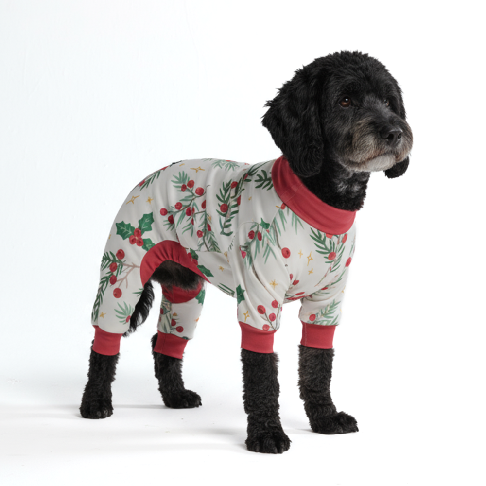 Dog Christmas Pajama - Mistletoe