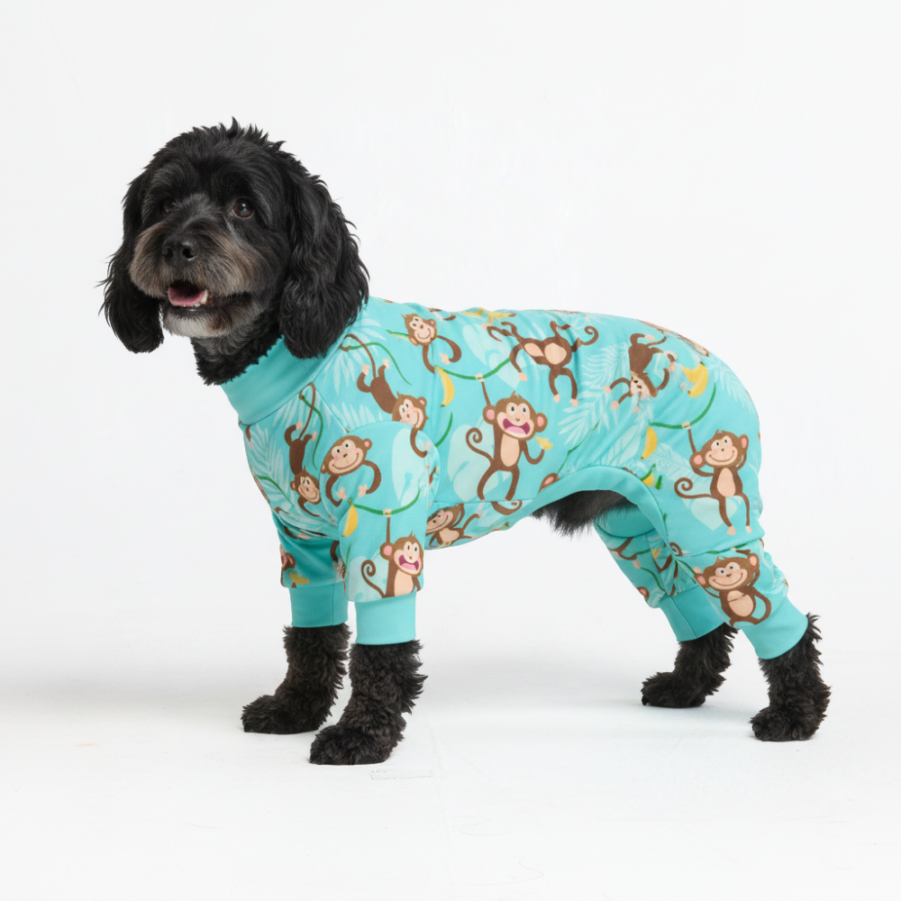 Dog Pajama Prints