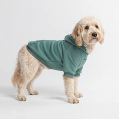 Essential Dog Hoodie - Teal