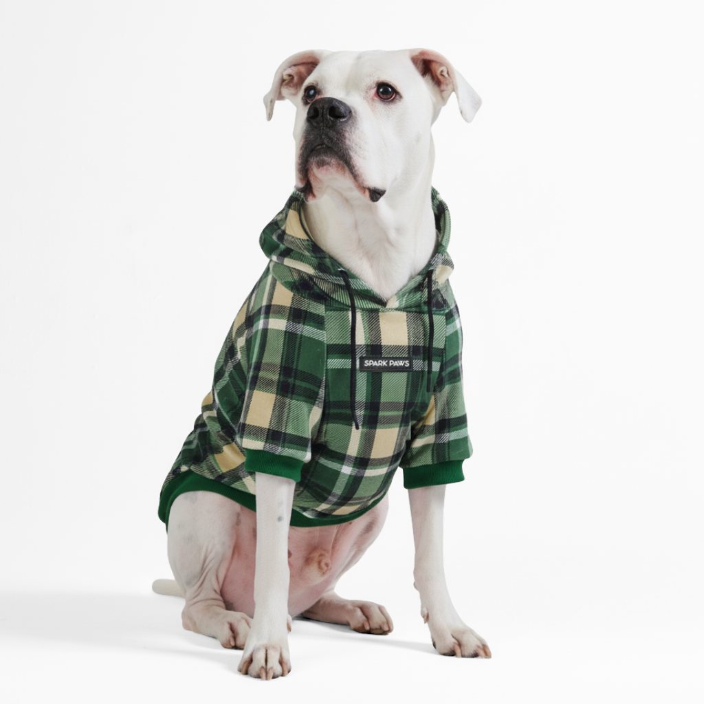 Plaid Dog Hoodies