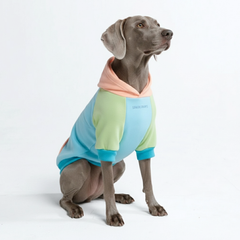 Jelly Bean Dog Hoodie