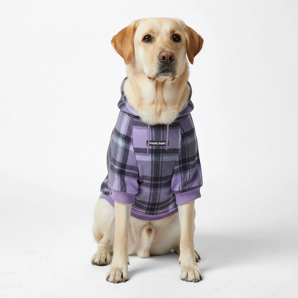 Purple Plaid Dog Hoodie