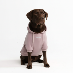 Essential Dog Hoodie - Purple Taupe