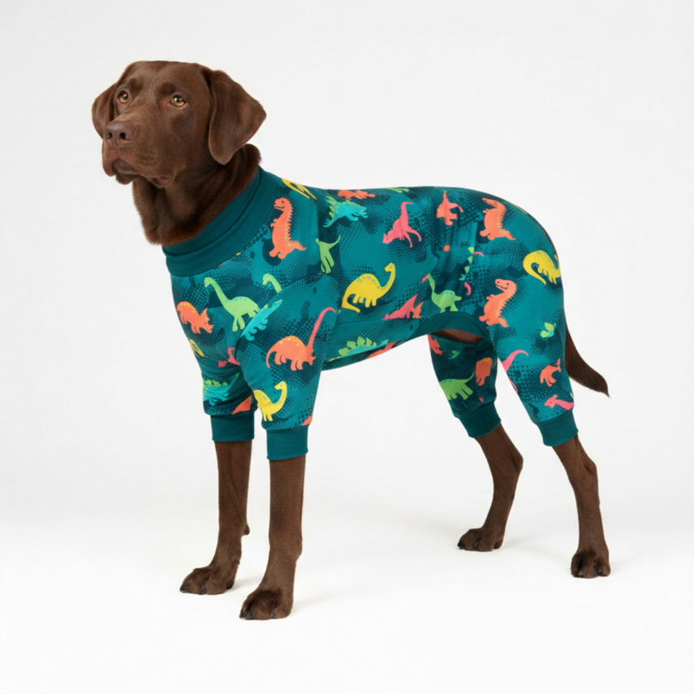 Dog Pajama Prints