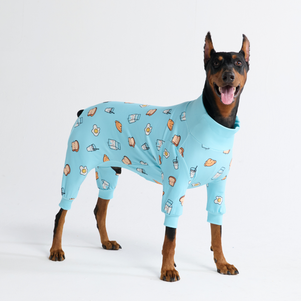 Dog Pajama Prints