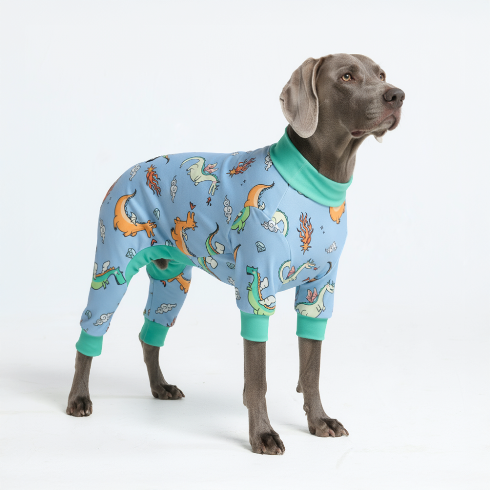 Dog Pajama Prints