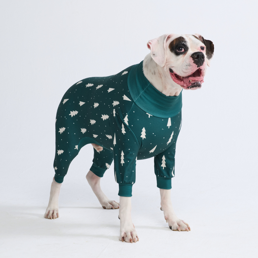 Dog Christmas Pajamas