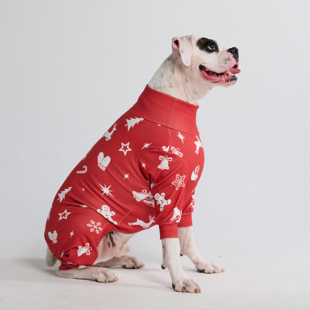 Dog Christmas Pajamas