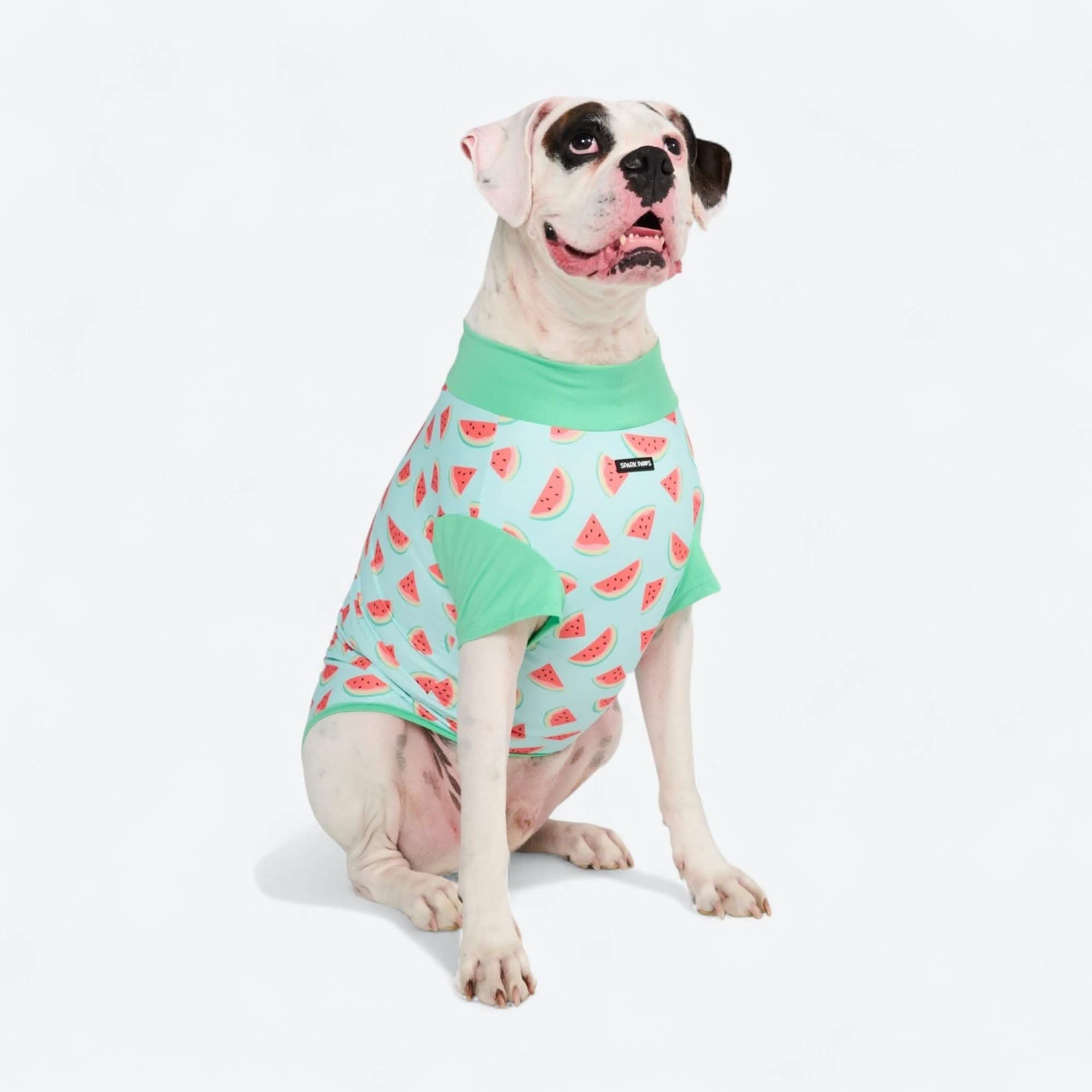 Sunblock Dog T-Shirt - Fruit Print