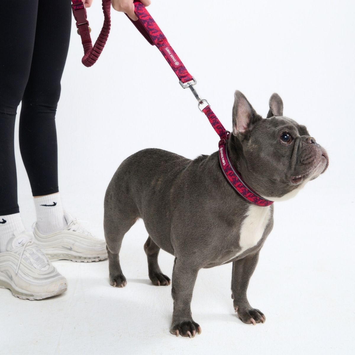 Martingale Collar - Fuchsia Camo