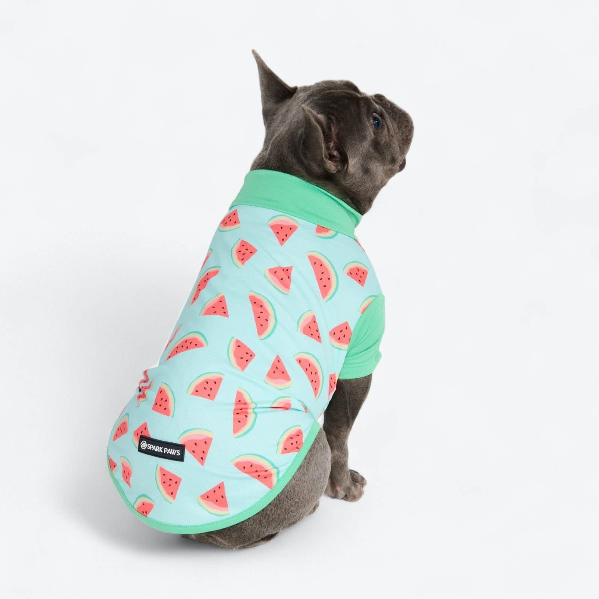 Sunblock Dog T-Shirt - Fruit Print