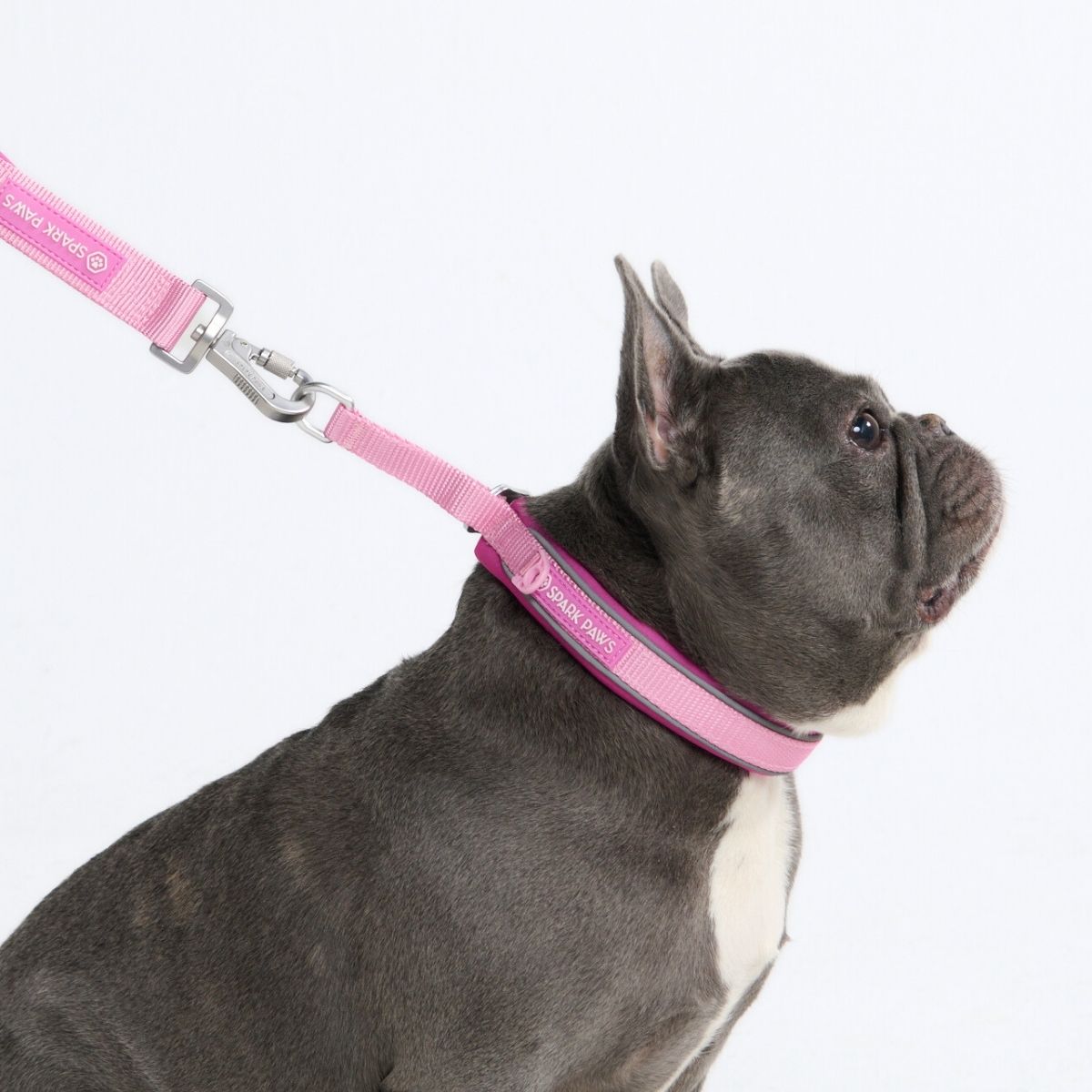 Martingale Collar - Pink