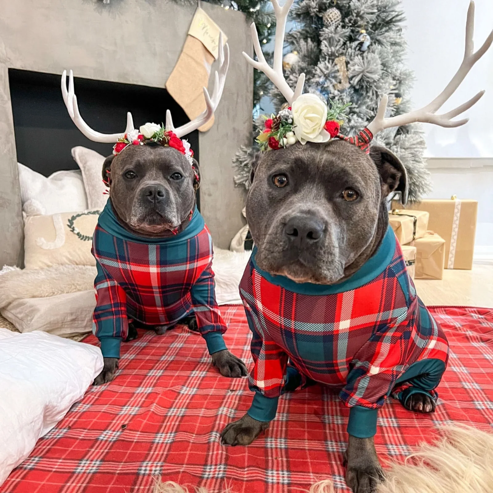 Dog Christmas Pajamas