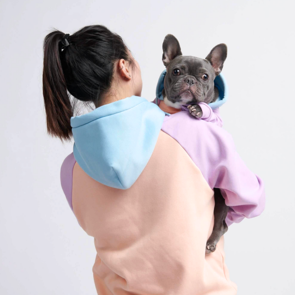 Color Block Dog Hoodies