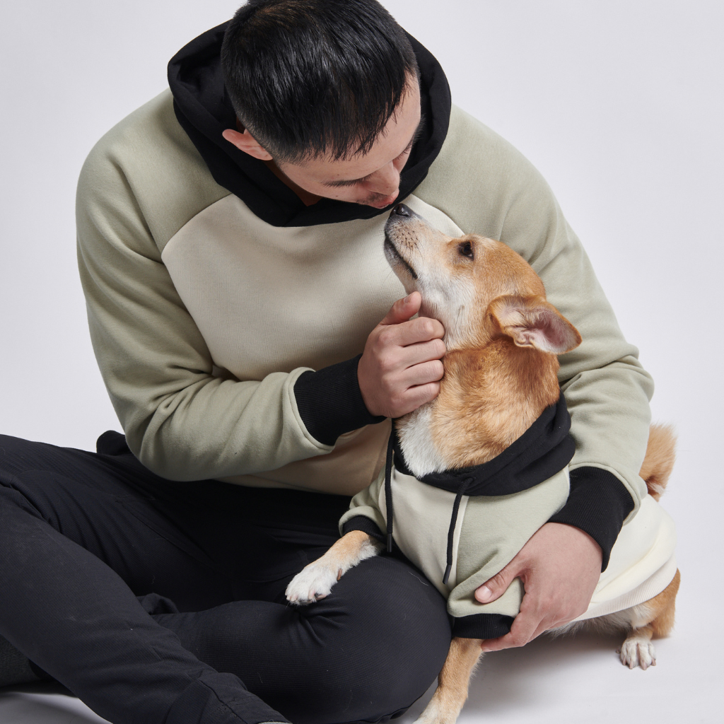 Olive Cream Dog Hoodie