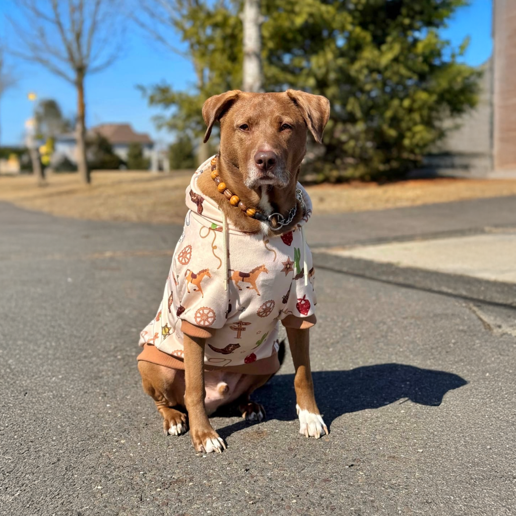Rodeo Dog Hoodie