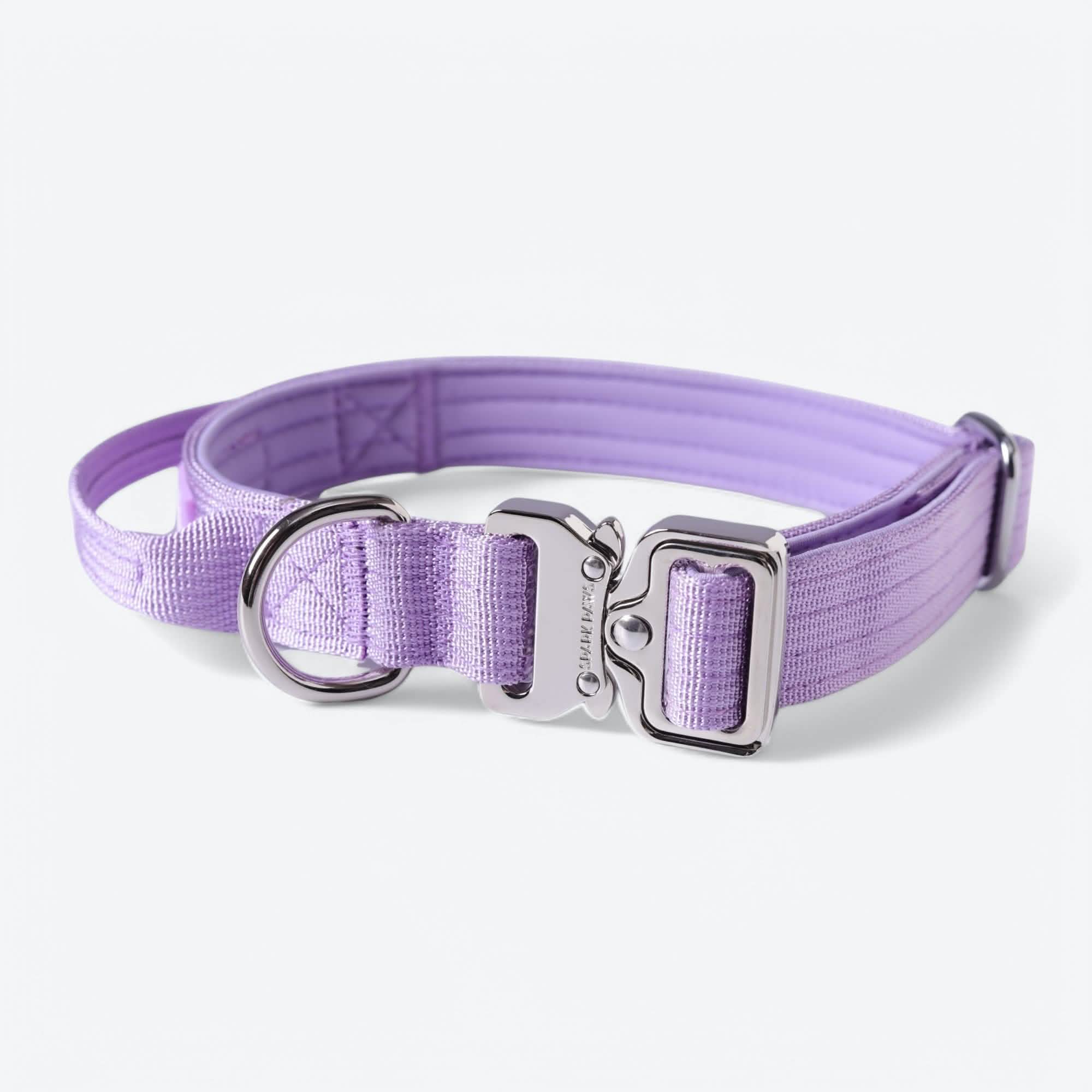 Comfort Control Dog Collar Sets